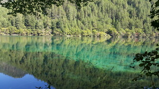 碧绿湖水映葱郁山林