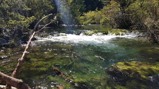 山间清澈溪流 阳光洒落