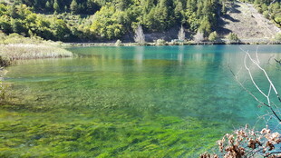 碧绿清澈的山间湖泊