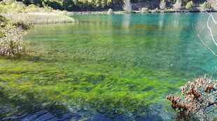 清澈碧绿的美丽湖水景观