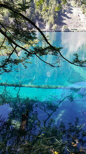 清澈蓝湖与岸边繁茂树木