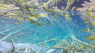 清澈蓝湖与周边葱郁景致