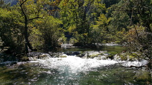 山间溪流 自然清新之景
