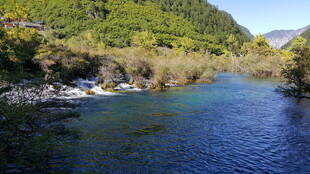 山间清澈河流美景