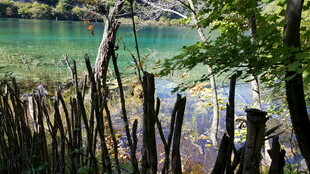 溪边木栅栏与翠绿山水