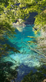 清澈蓝绿相间的美丽水域