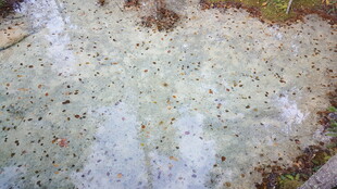 地面斑驳痕迹特写