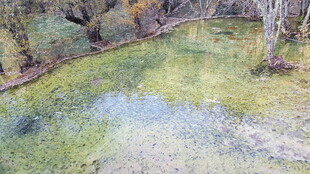 山间清澈小溪景色