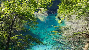 山间蓝绿色清澈溪流美景