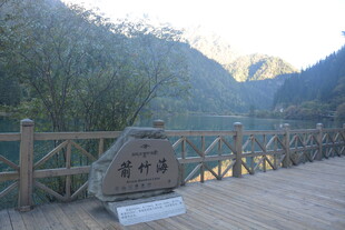 山间木桥旁的石碑景致