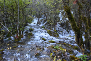 山间溪流潺潺的自然美景