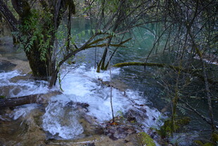 林间冰雪覆盖的清澈溪流