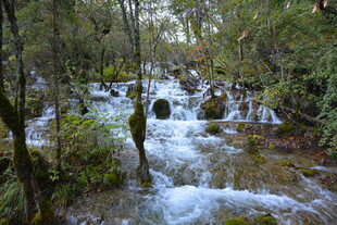 山林间的潺潺溪流