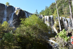 山间瀑布旁的繁茂植被