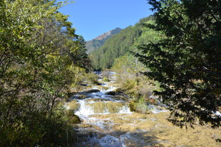 山间溪流 绿意环绕的美景