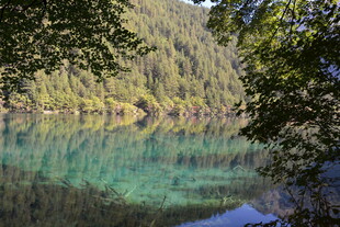 翠绿山林环绕的澄澈湖水