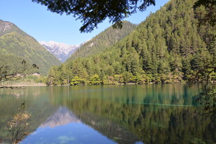 静谧山林中的清澈湖水