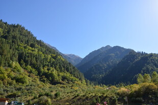 青山葱郁的秀丽山间景色