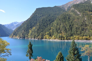 美丽湖景与青山绿树