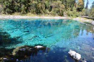 清澈蓝绿色的美丽自然湖泊