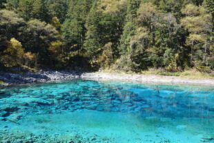 清澈蓝湖旁的葱郁山林