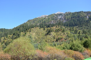 青山绿树间的秀丽风光