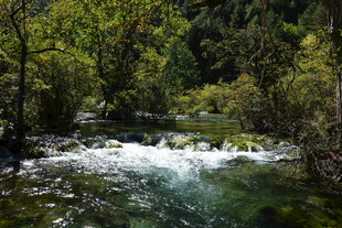 山间溪流 绿意盎然的景致