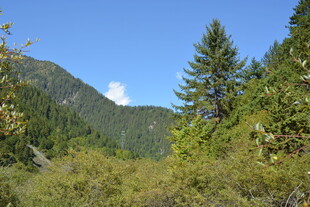 山林间的清新自然景致