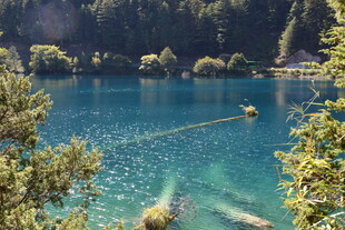 清澈湖畔的自然美景