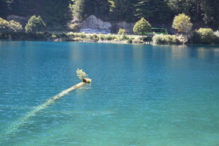 湖面滑水者留下美丽水痕