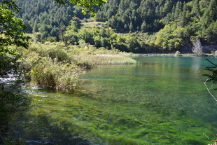 清澈山林间的碧绿湖水