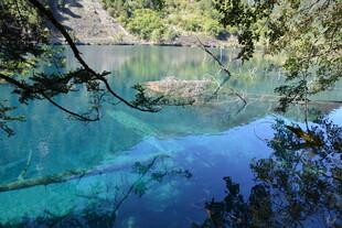 清澈蓝湖与岸边繁茂树木