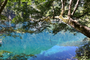 森林中的梦幻蓝色湖泊