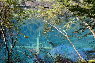 秋日林间的幽蓝湖水