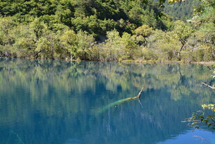 静谧蓝湖与葱郁山林