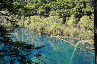 梦幻蓝湖的自然美景