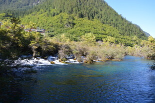 山间清澈河流与葱郁山林