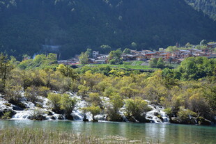 山间绿水畔的葱郁景致