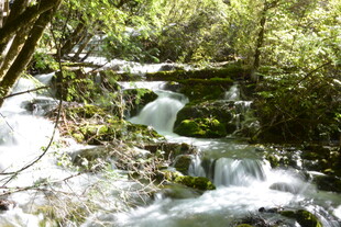 山林间的潺潺溪流