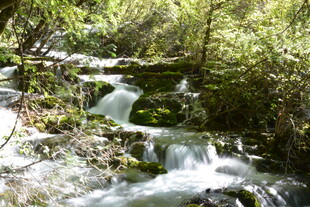 山间溪流潺潺 绿意盎然