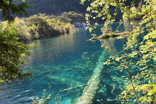 清澈河谷中的自然美景