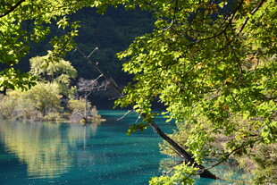 翠绿环绕的澄澈蓝湖