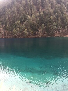 清澈蓝绿色湖水与岸边树林