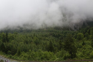 云雾缭绕的山林公路