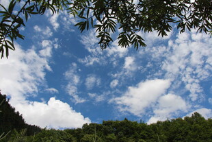 山林上空的蓝天白云