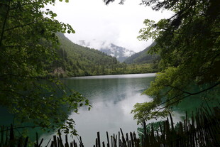 山间幽湖 绿意环绕之景