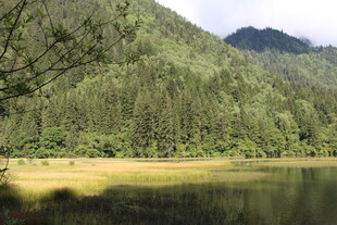 青山绿水间的静谧湖泊
