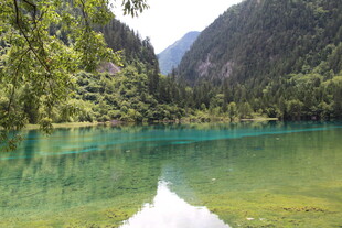 九寨沟碧绿湖水美景