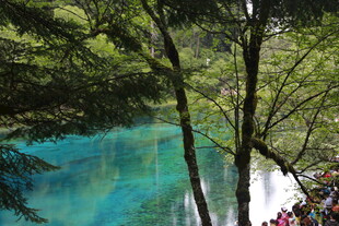 九寨沟绝美蓝绿色湖水景观