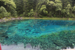 清澈蓝绿相间的美丽湖水